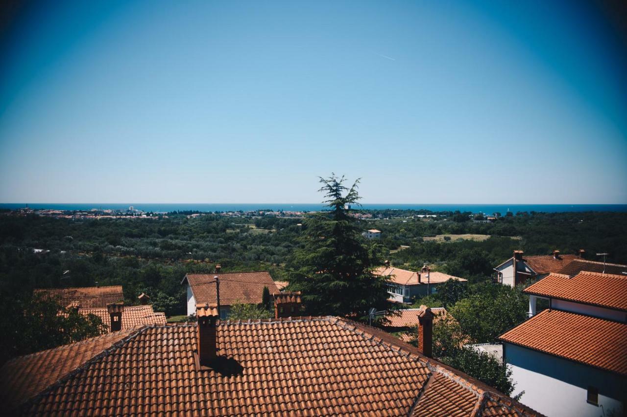 Apartman Elza