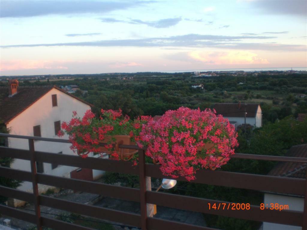 Apartment Apartman Elza *
